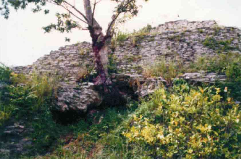 Ruinas Arqueológicas El Castillo